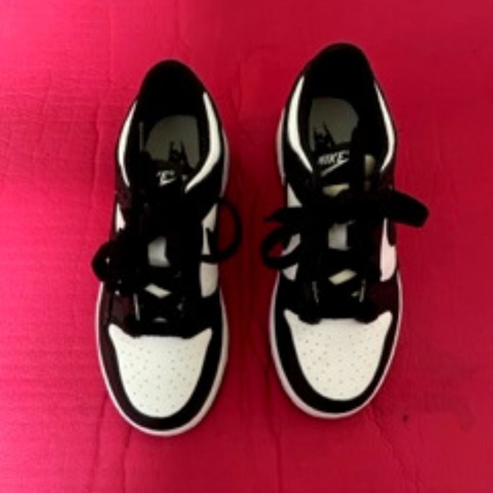 Nike Kids Dunk Low Sneakers
